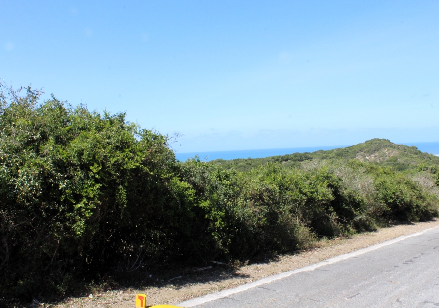 0 Bedroom Property for Sale in Begha Eastern Cape